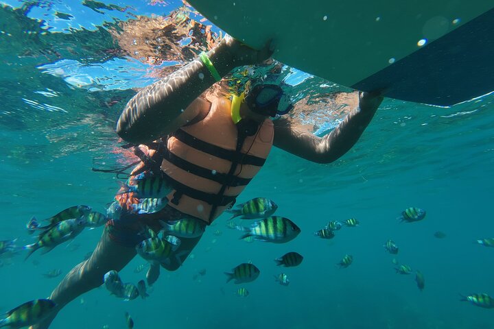 Il meglio del tour avventuroso di un giorno a Phi Phi Island con pranzo da Phuket