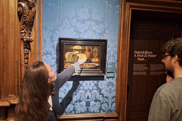 Mauritshuis Museum Den Haag - privat guidet tur med indgang