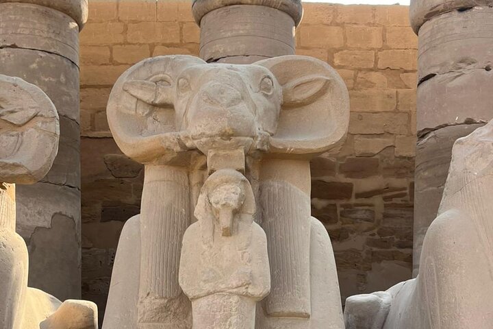Privédagtrip naar Luxor vanuit Marsa Alam en Vallei der Koningen