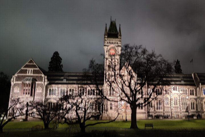 Heritage City og Larnach Castle Van-tur med historisk guide