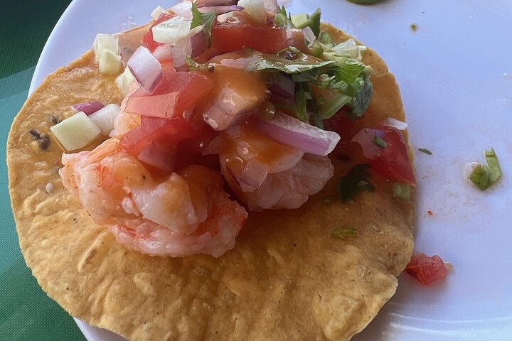 Nayarit Taco Fiesta VIP privat tur med takos og tequila