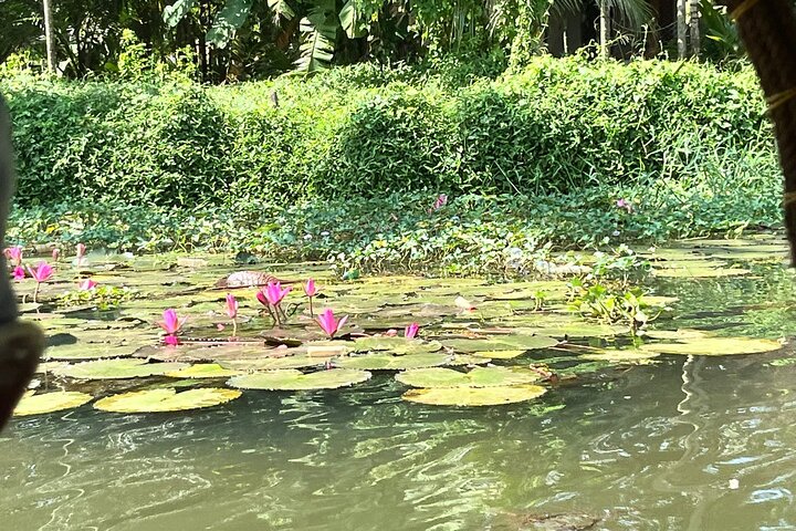 Crucero de día completo en bote en bote por Backwater Village