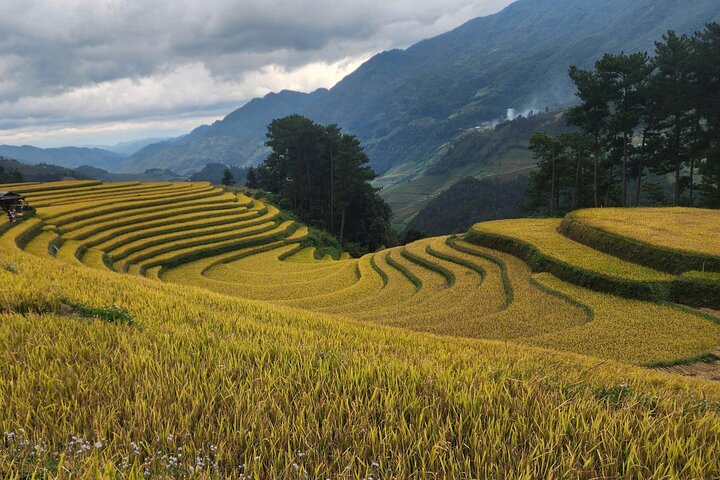 2 dias Mu Cang Chai Trekking Adventure