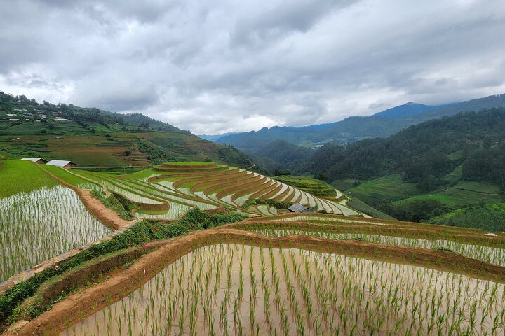 2 dias Mu Cang Chai Trekking Adventure