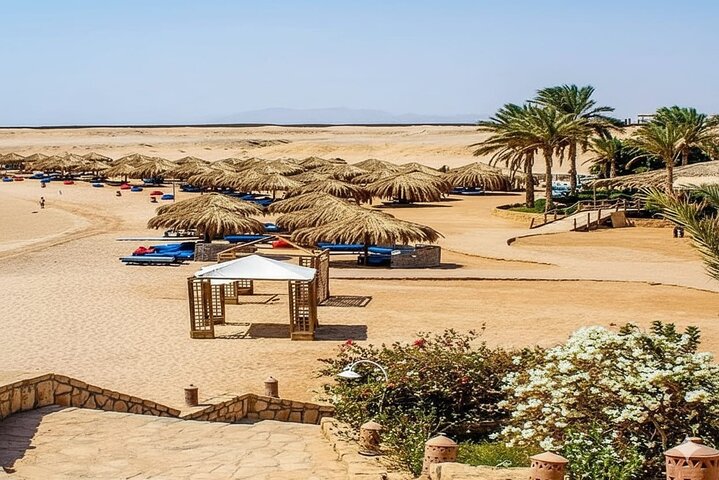 Sharm El Naga Journée complète de plongée avec tortues et déjeuner – Hurghada