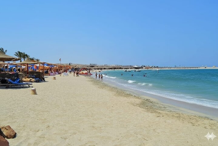 Sharm El Naga Journée complète de plongée avec tortues et déjeuner – Hurghada