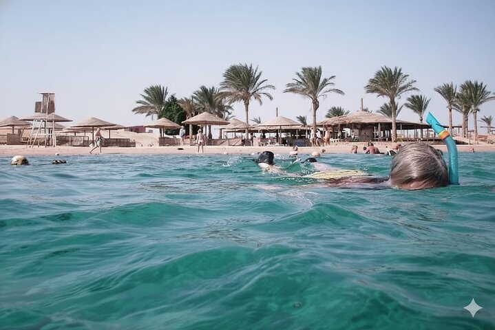 Sharm El Naga Journée complète de plongée avec tortues et déjeuner – Hurghada