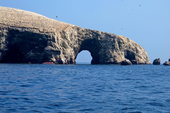 Paracas National Reserve: Privat strandtur från Pisco 3 timmar