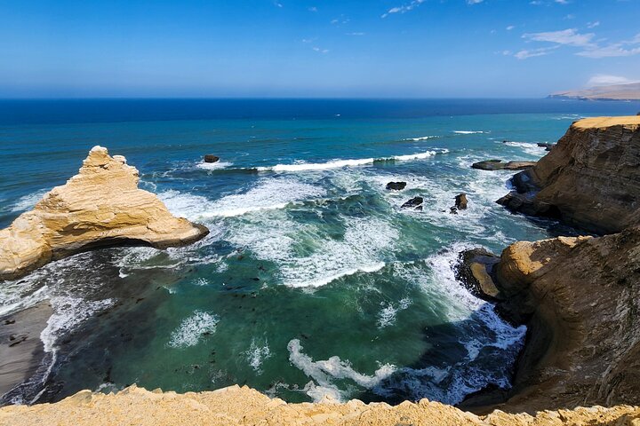 Paracas National Reserve: Privat strandtur från Pisco 3 timmar