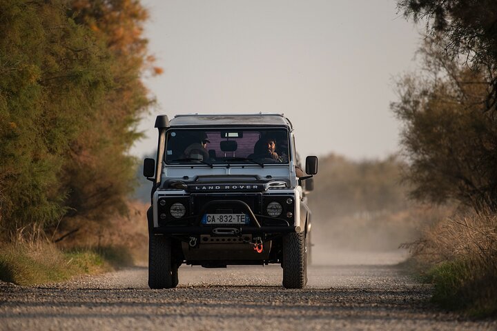 4x4 Camargue Safari 4h - Avgång från Arles