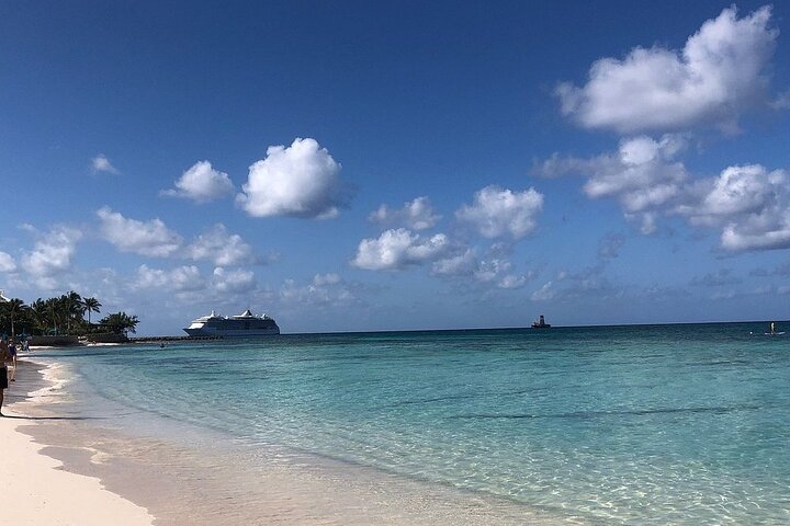 PRIVATE 4Stop Tour: Stingray, Snorkeling, Starfish & 7 Mile Beach