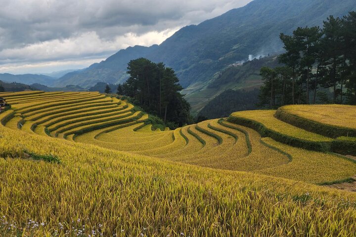 Trilhas escondidas de 3 dias em Mu Cang Chai