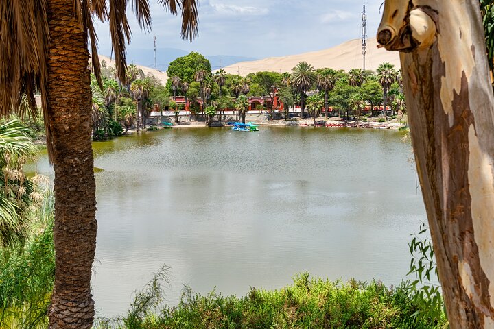 Ica & Huacachina Adventure : Privat strandtur från Pisco/Paracas