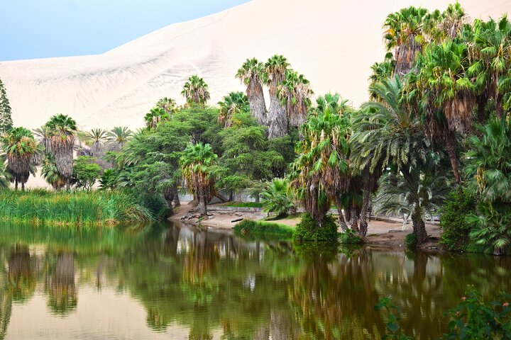 Ica & Huacachina Adventure : Privat strandtur från Pisco/Paracas