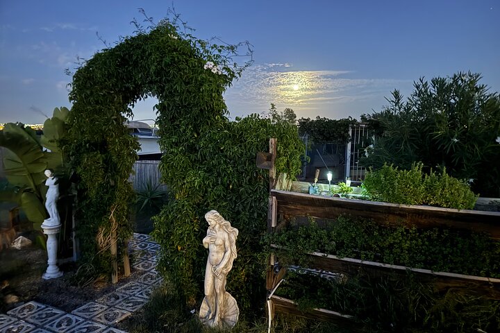 Astronomy Night - Familie Stargazing i Finca Astronomica