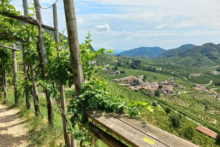 Dagtrip naar Prosecco Hills vanuit Venetië & Treviso : 2 wijnhuizen