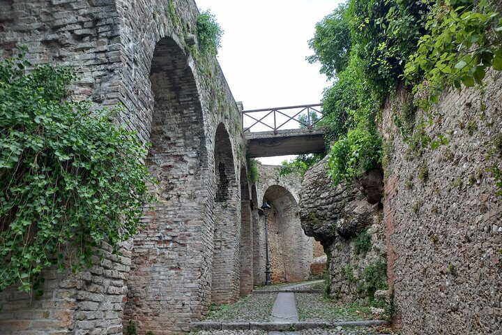 Dagtrip naar Prosecco Hills vanuit Venetië & Treviso : 2 wijnhuizen