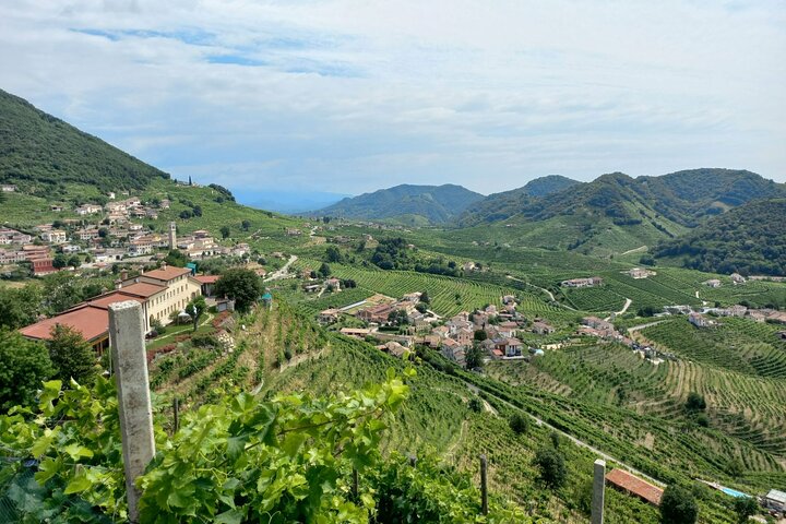 Dagtrip naar Prosecco Hills vanuit Venetië & Treviso : 2 wijnhuizen