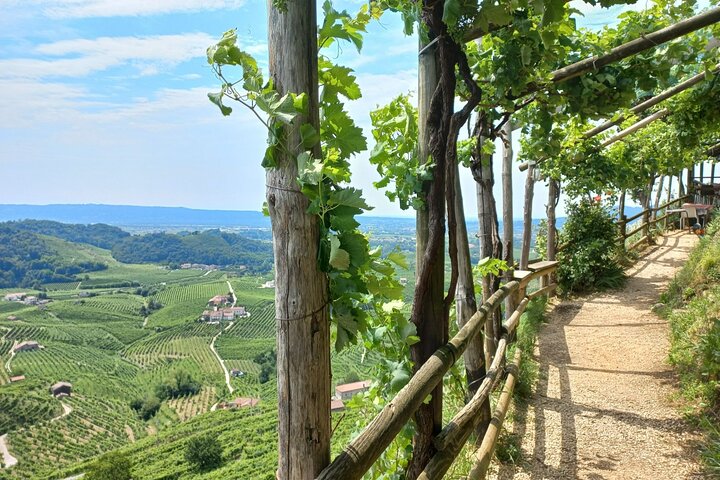 Dagtrip naar Prosecco Hills vanuit Venetië & Treviso : 2 wijnhuizen