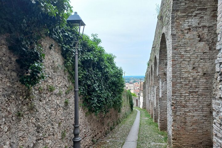 Dagtrip naar Prosecco Hills vanuit Venetië & Treviso : 2 wijnhuizen