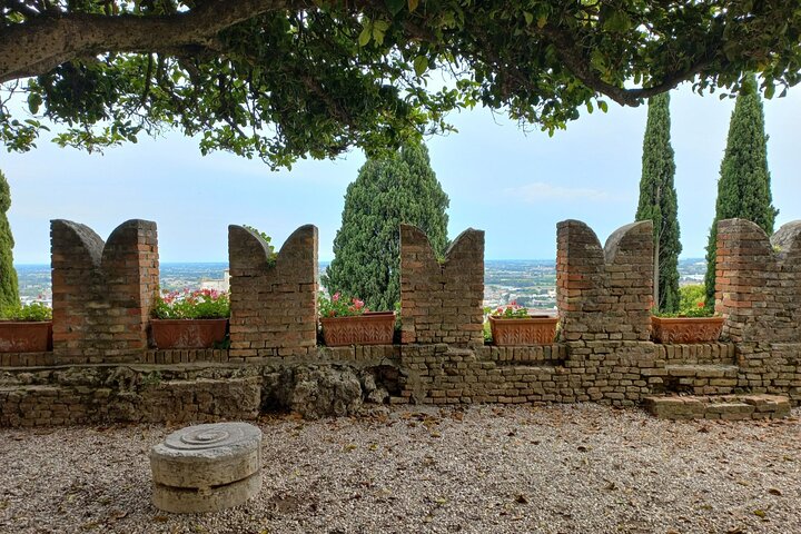 Dagtrip naar Prosecco Hills vanuit Venetië & Treviso : 2 wijnhuizen