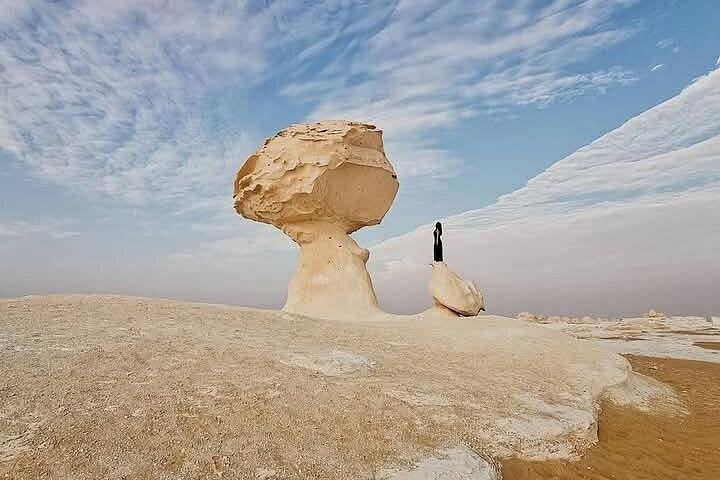 2 - Dag Bahariya Oasis Witte en Zwarte Overnachting Camping Jeep Tour