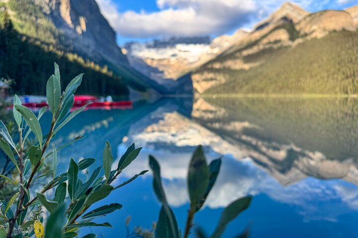 Moraine Lake Sunrise (2,5 horas) & Lake Louise (2 horas) de Canmore/Banff