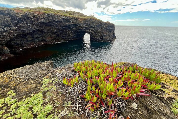 Horta, Faial: 1-dagstur med Capelinhos, Caldeira och lokal guide