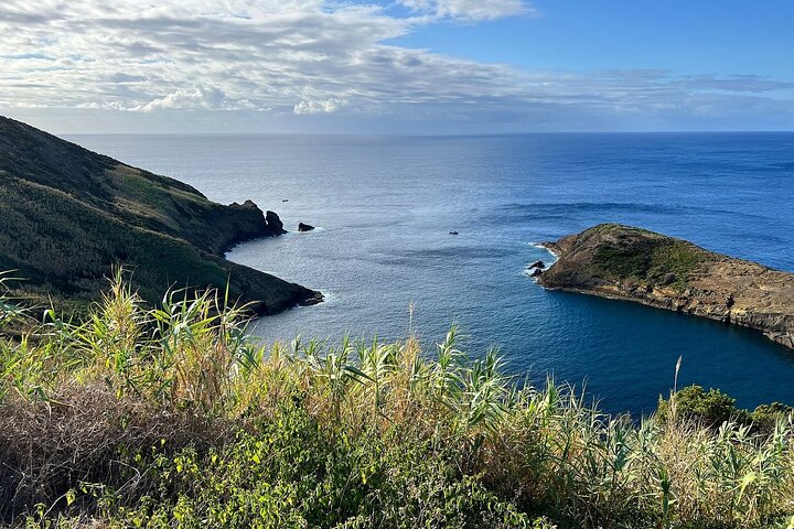 Horta, Faial: 1-dagstur med Capelinhos, Caldeira och lokal guide