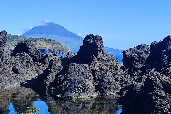 Horta, Faial: 1-dagstur med Capelinhos, Caldeira och lokal guide