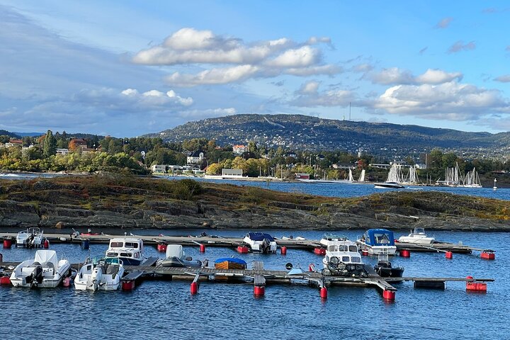 Hoogtepunten van de stad Oslo met fjordencruise
