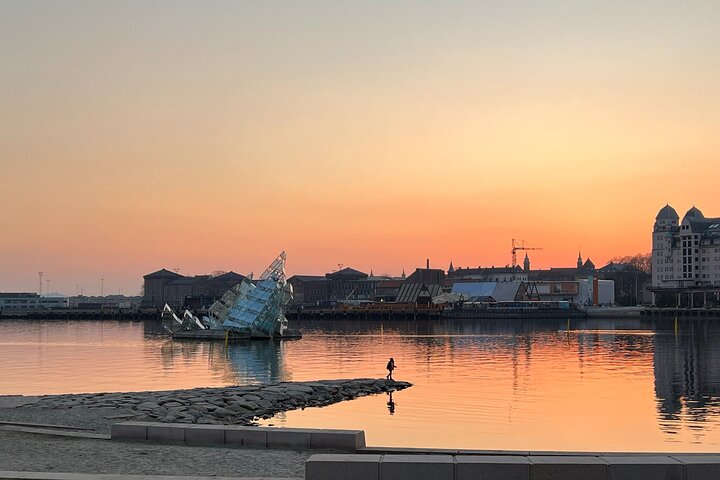 Hoogtepunten van de stad Oslo met fjordencruise