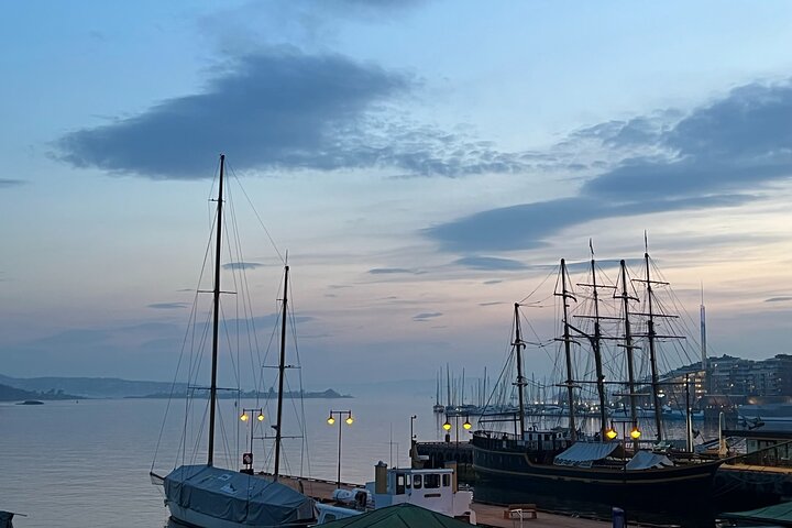 Hoogtepunten van de stad Oslo met fjordencruise