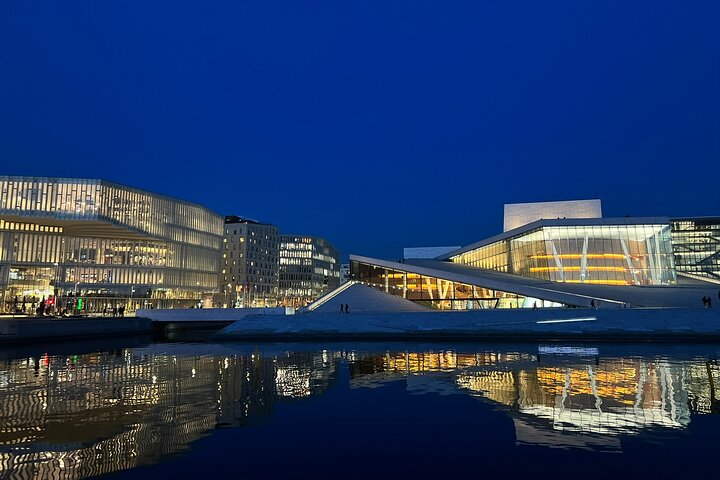 Hoogtepunten van de stad Oslo met fjordencruise