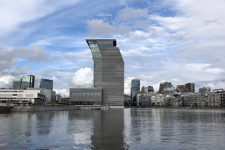 Hoogtepunten van de stad Oslo met fjordencruise