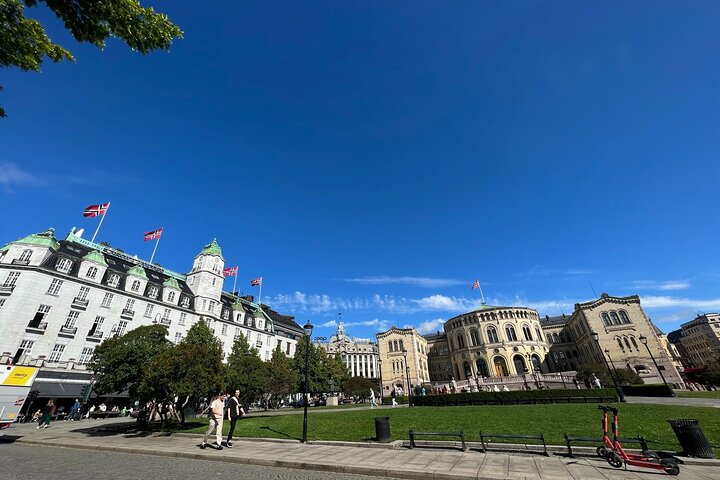 Hoogtepunten van de stad Oslo met fjordencruise