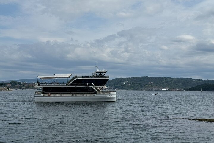 Hoogtepunten van de stad Oslo met fjordencruise