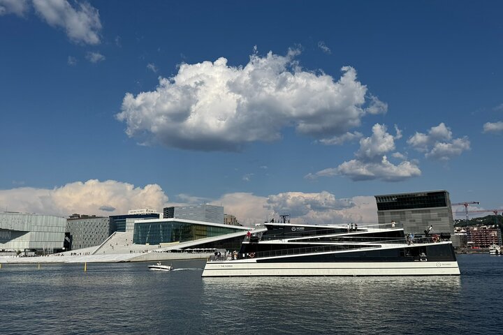 Hoogtepunten van de stad Oslo met fjordencruise