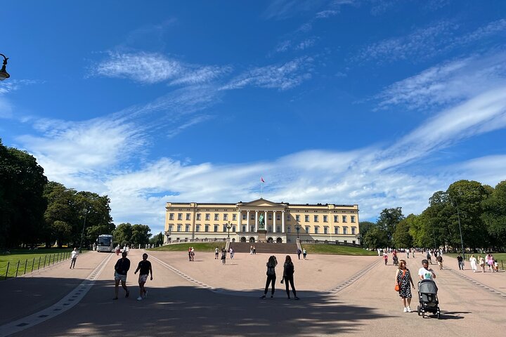 Hoogtepunten van de stad Oslo met fjordencruise