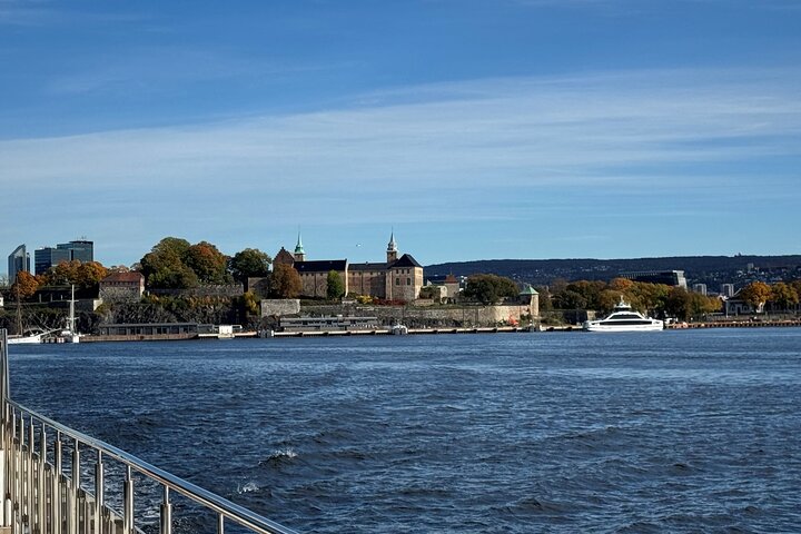 Hoogtepunten van de stad Oslo met fjordencruise