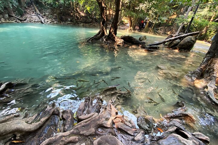 Cascada de Kanchanaburi Erawan y tren a lo largo de la Muerte