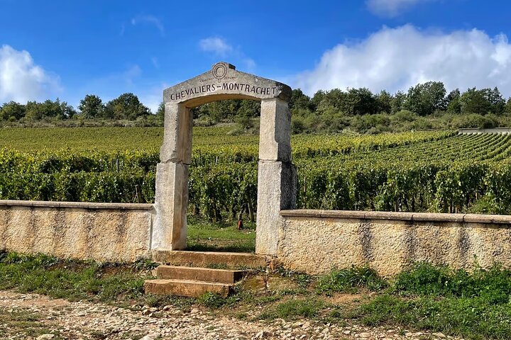 Excursion privée d'une journée en Bourgogne : Côte DE Beaune & Côte DE Nuits