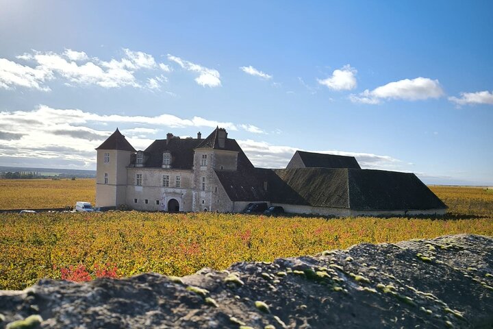Excursion privée d'une journée en Bourgogne : Côte DE Beaune & Côte DE Nuits