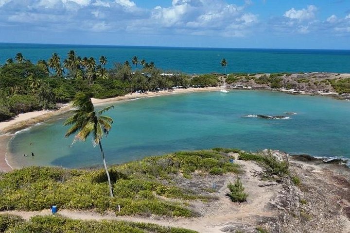 Tour de l'île de Santo Aleixo au départ de Maragogi par Top Tours