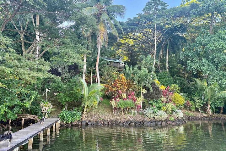 Bocas Del Toro Dolphin Bay, Chokladfarm och Snorkeltur