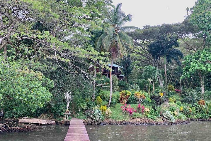 Bocas Del Toro Dolphin Bay, Chokladfarm och Snorkeltur