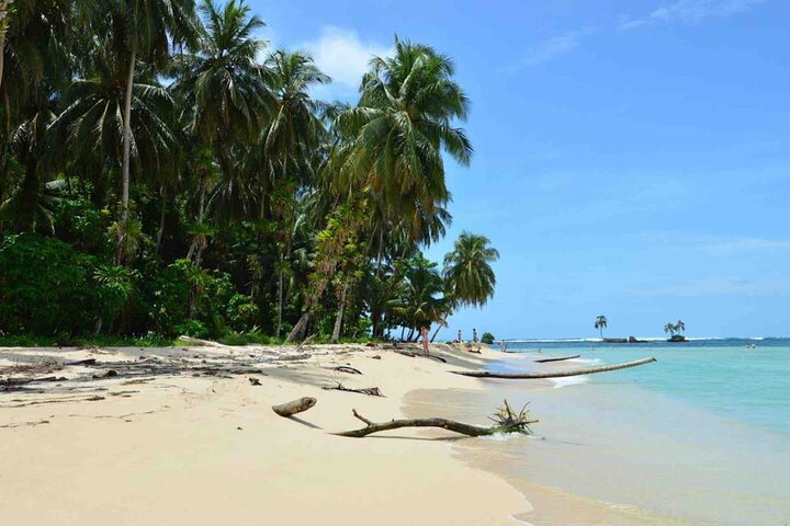 Bocas Del Toro Dolphin Bay, Chokladfarm och Snorkeltur