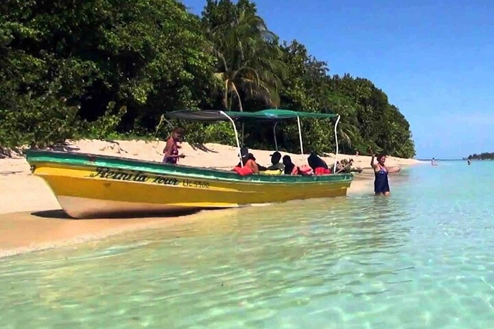 Bocas Del Toro Dolphin Bay, Chokladfarm och Snorkeltur