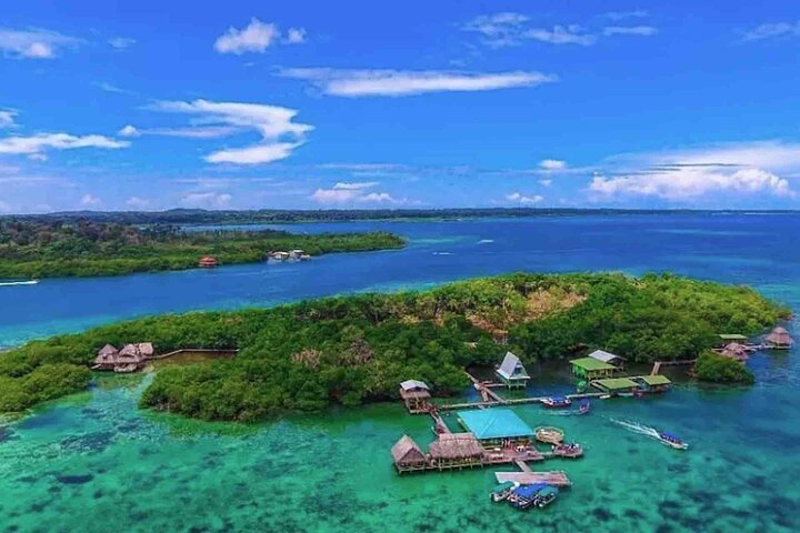 Bocas Del Toro Dolphin Bay, Chokladfarm och Snorkeltur