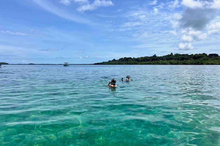 Bocas Del Toro Dolphin Bay, Chokladfarm och Snorkeltur